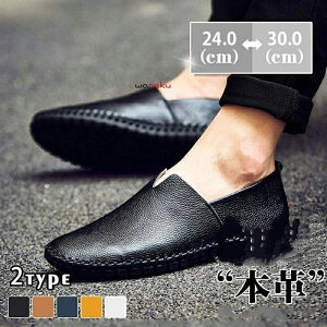 Xb| Y {v 傫TCY bV F [t@[ _炩 ԉ^] ʋC C ʊw ʋ t H ~  K rWlX LC  Vv 20 30 40