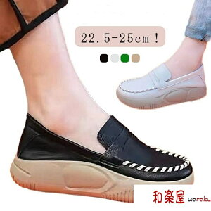 Xj[J[ [q[ Xb| fB[XV[Y h y fB[X h  y q[4cm O C  t