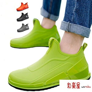 ~ J Jp o[u[c JC CV[Y Jp V[g Xj[J[ Cu[c y Sh