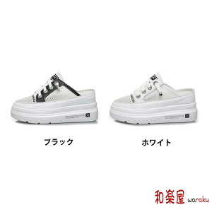 ʋC y T_  Xb| V[Y C bV Xj[J[   fB[X Xj[J[