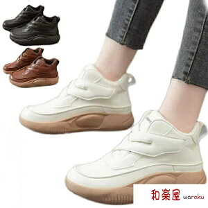 Xb|  Xj[J[ O Xj[J[ Xj[J[ fB[X Xj[J[ vC nCJbg