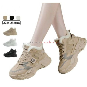 _bhV[Y Xj[J[ N ~p fB[X w  J[L  u[c {AXj[J[ Xm[u[c 5cm g h ~ {At Ȃ Xj[J[ JWA fB[X