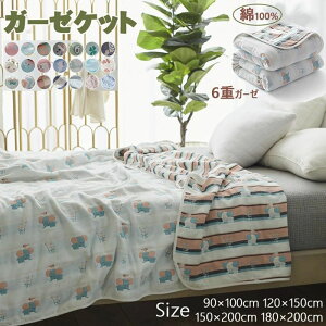 K[[Pbg xr[ 6dK[[Pbg VO 100 uPbg ɗD K[[Pbg Y v[g ^IPbg K[[ Q G| y Ђ ڐG⊴ I[V[Y 