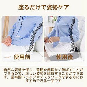 `FApbh zc NbV ֎qpNbV ᔽ 킢 d V[gNbV ԗpNbV rONbV ݑΖ p Y pP ی^ wXPA e