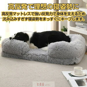 ybgxbh ybgNbV ybgpi ^ ^ ^ ybgpObY  L ˂ 났Xy[X H _炩 QSnQ ӂӂ ̃xbh   xbh 