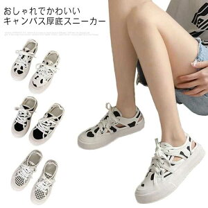 V[Y ʋC Vv LoX [Jbg  Vv  fB[X Xj[J[ 킢 ₷ ubN    C Xj[J[ EH[LOV[Y r gA