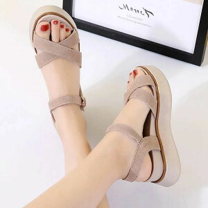 Xgbv ₷ fB[X EGbW\[ ₷ y r T_ Xgbv RtH[g  