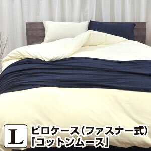 _11/1IXSiP5{^Jo[ sP[X 50×70 Rbg [XsP[X LF50×70cmit@Xi[j