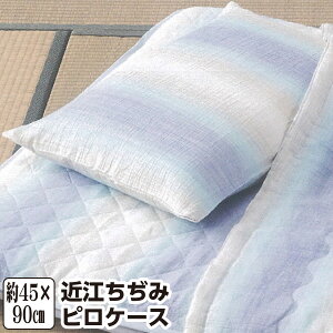 [[J[][s]ߍ] sP[X 43×63cmp 􂦂 { Y 100 ʋC Ђ  Rې