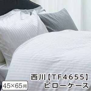 _12/1IXSiP5{^yP10{z Jo[ 65×45cmΉij 100 { XgCvTe gDGeBtH[vX i24{j TF4655 sP[X ze ܂Jo[