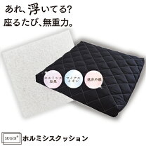 楽天市場】ホルミシス シートの通販