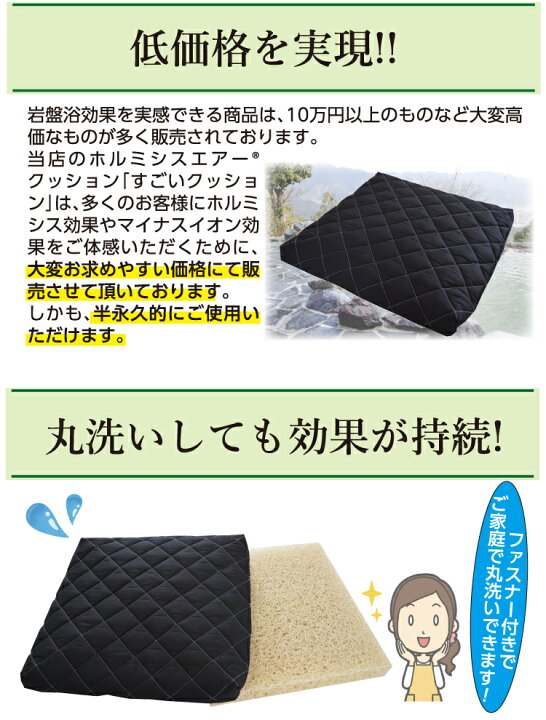 楽天市場】【2枚買いが5600円もお得!!】【日本イオン協会認定】すごい  