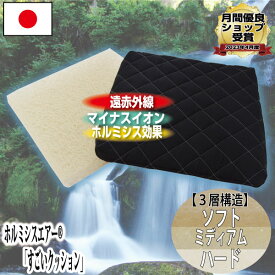 【2枚買いが5600円もお得!!】【日本イオン協会認定】すごい シートクッション 約40×40×5cm ホルミシス効果 遠赤外線効果 3D構造 洗える 通気性 ラドン浴 ラジウム 鉱石 岩盤浴 体圧分散 日本製 綿100％ 玉川温泉