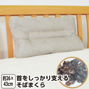 x邻΂܂ 26×43cm ΂܂@΂@@x@z@@@܂