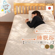 【公式】楽天1位受賞【正規品 日本イオン協会認定】色選べる ハイグレード ホルミシス すごい敷きパッド …
