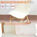 ＼10日限定！最大10％OFF／【日本イオン協会認定】寝つきが変わる! すごいホルミシス枕パッド 43×63cm 日本製 お家で…