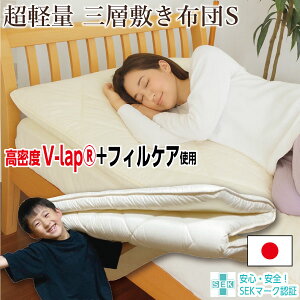 _SS艿i!^y{zꃍOZ[ l xV-Lapgp 3w~zc tBPA y ̈U VO 100×210cm RۖhL SEKH 100% z ϋv y I[V[Y 