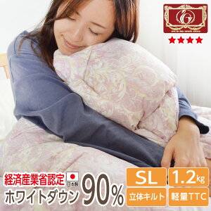 yiz{ Hѕzc zCg_E90 1.2kg VO GNZS[h _Ep[350dpȏ {[ ̃Lg TTC O@H~ {  yi:V[iz؏