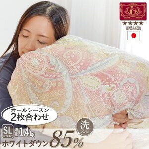 【高品質】日本製 高級 2枚合わせ 羽毛布団 エクセルゴールド 増量(合掛1.0kg+肌掛0.4kg)ホワイトダウン シングル 371dp 抗菌防臭 防ダニ 立体キルト 送料無料【品名:ペザンテ】ゴールドラベル