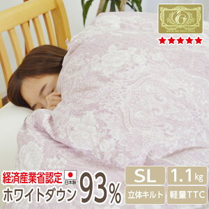 yiz{ 7Nۏ Hѕzc zCg_E93 1.1kg CS[h VO O _Ep[ 400dpȏ H~  yi:GuzS[hx RrYi