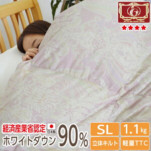 yiz{ Hѕzc zCg_E90 1.1kg VOO GNZS[h350dpȏ H~  S[hxyi:bZzRrYi