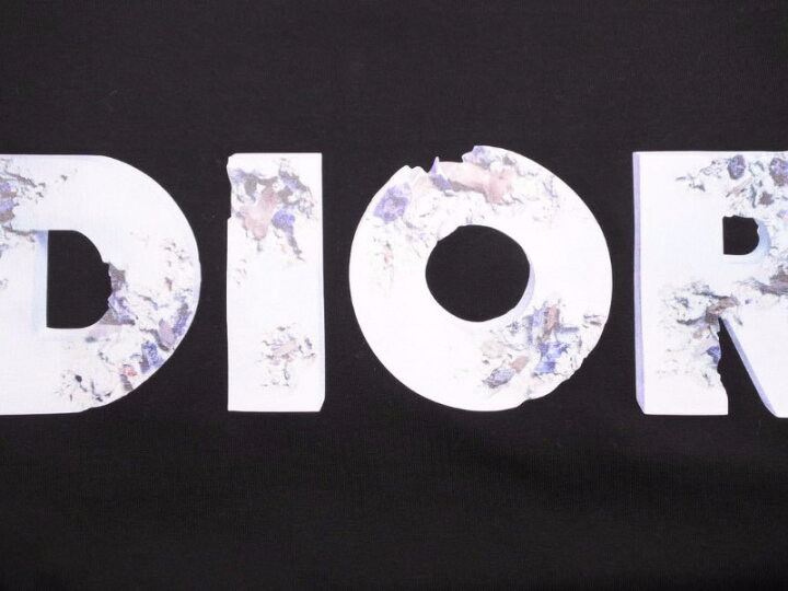楽天市場】DIOR HOMME ディオールオム Tシャツ ダニエル・アーシャム  