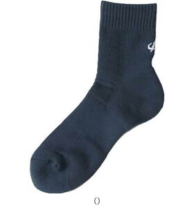 t@Ce X|[c\bNXZ~ONVY25-27 AL943473 {fBPA\bNX r[đ