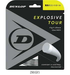 �_�����b�v�e�j�X DUNLOP EXTOURSTDST11031 DST11031 �e�j�X�R�E�V�L�K�c�g ���r���[�������đ����������