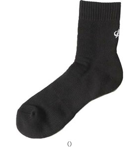 t@Ce X|[c\bNXZ~OBLK22-24 AL943370 {fBPA\bNX r[đ