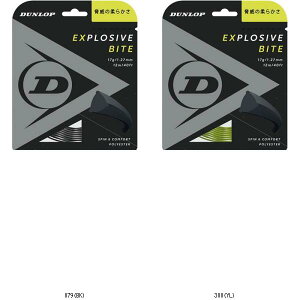 _bvejX DUNLOP EXBITESTDST11011 DST11011 ejXREVLKcg r[đ
