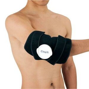 [bgwZ̈ ZETT CING15qEmEACVOT|[^[ AIC2500 {fBPAT|[^[