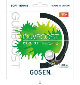 S[Z GOSEN Ku[XgOreBubN SSGB11GB ejX\tgKbg r[đ