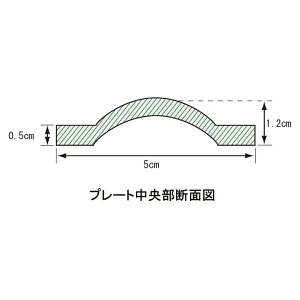 Goj[ EVERNEW \tg_[g[jO[v EGA480 TOPڕʃX|[c㋣Zg[jOpi_[g[jO