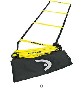 wbh HEAD AWeB_[ 287501 TOPڕʃX|[cejXKpK ̑