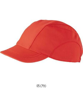 tbg}[N FOOTMARK Vlc{EV ASSJG[vcL 101204 }`SP{EV r[đ