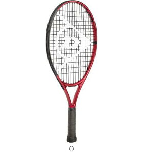 _bvejX DUNLOP 21DCXJNR21DS22104J DS22104J ejXPbgREVL r[đ