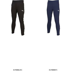 v[} PUMA TEAMCUPTRXpc 660208