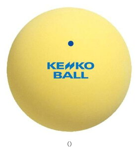 PR[ KENKO \tgejX{[ ST/YL^Zbg̔ 12 TSSYV