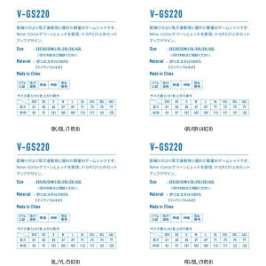 }g싅 TSP V-GS220 512101 싅Q[Vc