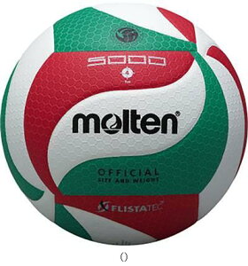e Molten tX^ebNo[4SEPeC V4M5000 o[LEM{[
