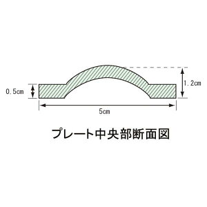 Goj[ EVERNEW \tg_[v[g EGA481 TOPڕʃX|[c㋣Zg[jOpi_[g[jO