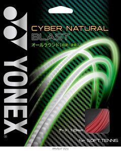 ���l�b�N�X YONEX �T�C�o�[�i�`�������u���X�g CSG650BL �e�j�X�\�t�g�K�b�g