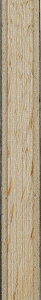 �j�b�^�N Nittaku �G�{�j�[�E�b�hFL NE6204 �싅�V�F�[�N���P�b�g