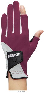 n^` HATACHI N[bVeuN BH8027 TOPڕʃX|[cOEhSt ANZT[ r[đ