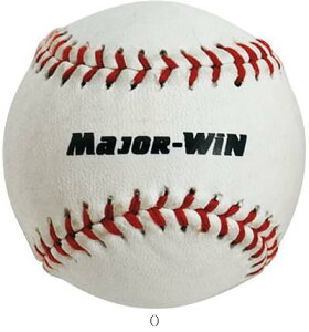 [hX~X REVLVE{[MAJORWIN48MM BX8170 싅ObY\m^