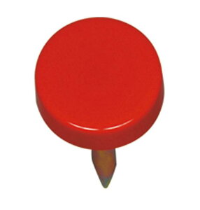 Goj[ EVERNEW Oh}[J[N-O DX EKA568 TOPX|[cpi ̈OEhpiOEh}[N OEh[v