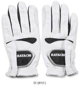 n^` HATACHI qcWKO[u BH8043 GSteuN r[đ