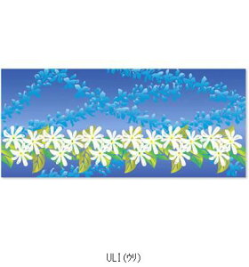 AXJ nCAtFCX^IC ASK2APREI }SPObY\m^