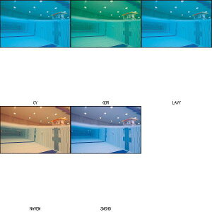 XY SWANS XCOX SR3MRE jS[O r[đ