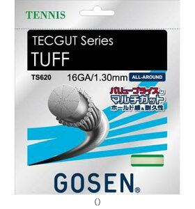S[Z GOSEN ebNKbg ^t 16 zCg TS620W ejXREVLKcg r[đ
